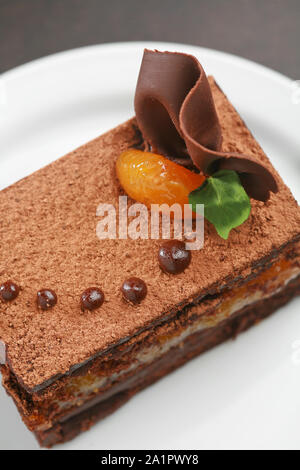 Le gâteau Sacher, en allemand Sachertorte, est un gâteau au chocolat typiquement autrichien, composé de deux plaques d'épaisseur de gâteau au chocolat et beurre separ Banque D'Images