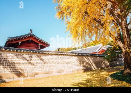 Sanctuaire de Jongmyo avec du jaune arbre ginkgo à Séoul, Corée Banque D'Images