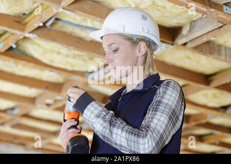 Femme builder foret en évolution Banque D'Images