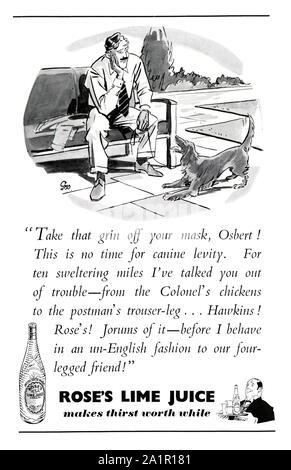 Annonce pour Rose's jus de lime, 1951. L'illustration et fonction copier un homme 'Talking' pour son chien 'Osbert' dans la langue très archaïques (y compris désormais peu utilisés expressions et mots comme "jorums'). La première usine de production de jus de lime a été mis en place comme l'entreprise et Rose, sur la rue Commerciale à Leith, Édimbourg, Écosse, en 1868. En 1875, la société s'est agrandie et a déménagé son siège social à Londres - bien qu'encore de la fabrication de ses produits dans la région de Leith. En 1957, Schweppes Cadbury Schweppes (plus tard) l'acquisition de la compagnie. Banque D'Images