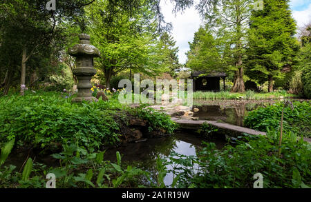 Jardin japonais à Newstead Abbey, Nottinghamshire au printemps. Les arbres et arbustes verts frais reflètent dans le calme des piscines, statuaire japonaise authentique ajoute un distributeur automatique Banque D'Images