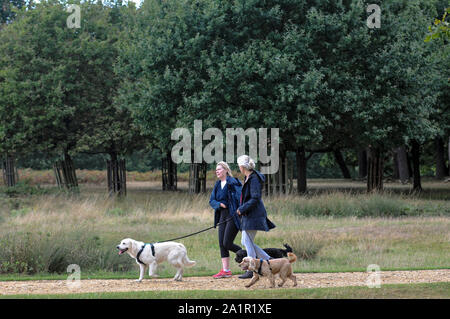 Londres, Royaume-Uni, 28 septembre 2019, les gens prennent leur chance de profiter de Richmond Park, comme les conditions météorologiques humides se ferme. Credit : JOHNNY ARMSTEAD/Alamy Live News Banque D'Images