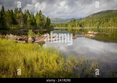 Dans un paysage de la nature, la Norvège Nord-trondelag, Namsskogan Banque D'Images