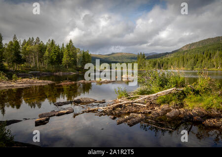 Dans un paysage de la nature, la Norvège Nord-trondelag, Namsskogan Banque D'Images