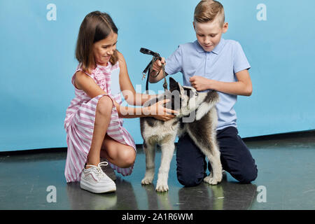 Les enfants de Théodoric, aller, prépare à marcher avec un chien, temps libre, temps libre, art de vivre Banque D'Images