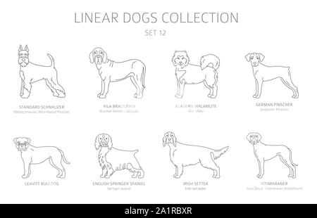 Simple ligne chiens collection isolated on white. Les races de chiens. Télévision clipart style défini. Vector illustration Illustration de Vecteur