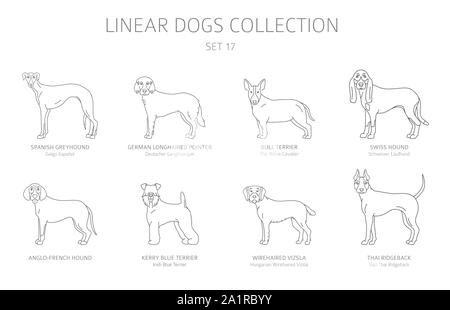 Simple ligne chiens collection isolated on white. Les races de chiens. Télévision clipart style défini. Vector illustration Illustration de Vecteur