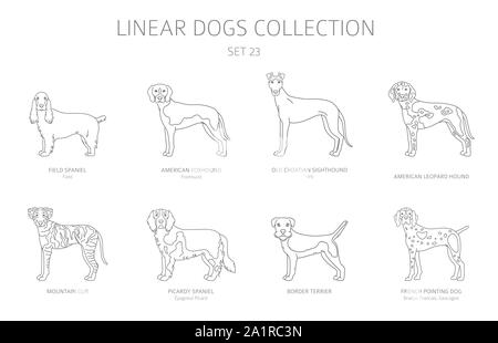 Simple ligne chiens collection isolated on white. Les races de chiens. Télévision clipart style défini. Vector illustration Illustration de Vecteur