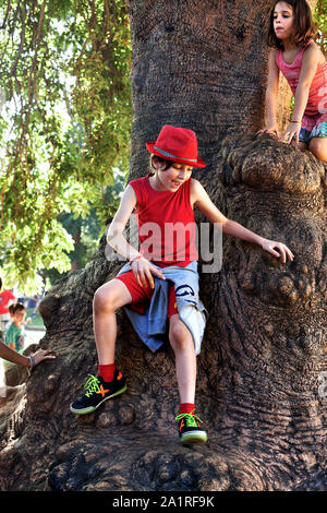 Garçon jouant sur l'arbre, Barcelone, Espagne. Banque D'Images