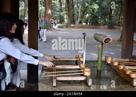 Deux écolières l'objet rituel de se laver les mains et la bouche avant d'entrer dans le sanctuaire de Meiji Jingu - le plus grand et le plus célèbre sanctuaire Shinto, T Banque D'Images