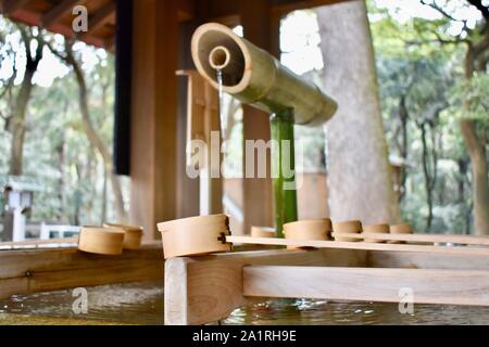 Temizuja - réservoir d'eau pour rituel de se laver les mains et la bouche avant d'entrer dans le sanctuaire de Meiji Jingu - le plus grand et le plus célèbre sanctuaire shinto Banque D'Images