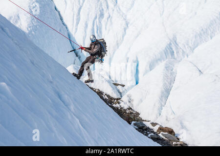 Un homme tenant un piolet rappels en bas une pente de glace sur le Glacier Matanuska en Alaska. Banque D'Images