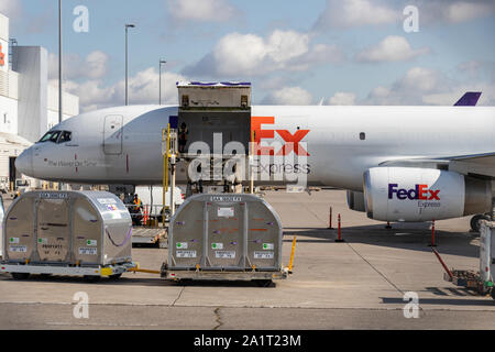 Avant de charger l'avion de fret FedEx Express Boeing 757-2-F à l'aéroport international Pearson de Toronto. Aéroport. Banque D'Images