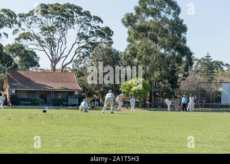 Jouer un match de cricket de semaine sur Bert Oldfield Oval dans le quartier Côte-Nord banlieue de Killara dans Sydney Australie. Banque D'Images