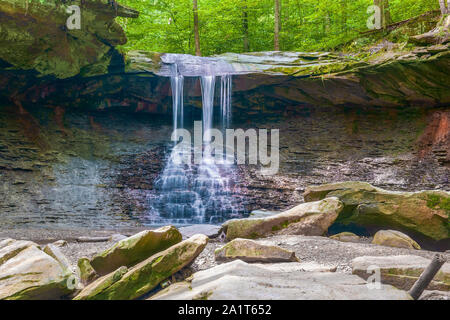 Poule bleue tombe en été. Parc national de Cuyahoga Valley. L'Ohio. USA Banque D'Images