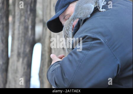 Squirrel jouer avec un homme à l'intérieur du parc Valentino à Turin. Banque D'Images