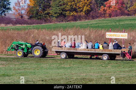 Coloma Michigan USA ,le 25 octobre 2015 ; familles ride sur une charrette à foin tirée du tracteur, tous autour d'une ferme et plus Apple du Michigan à un champ de maïs fun maze Banque D'Images