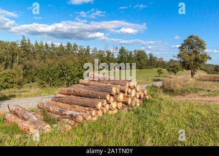 Grumes de pin coupé par la route. L'industrie du bois. Bois de chauffage écologique. La préparation pour l'hiver. Tas de bois. Banque D'Images