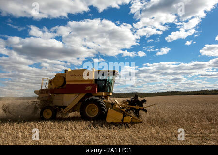 Un agriculteur récoltant un paddock broadacre de blé à l'aide d'une ensileuse New Holland à Kringin dans l'état d'Australie-Méridionale en Australie. Banque D'Images