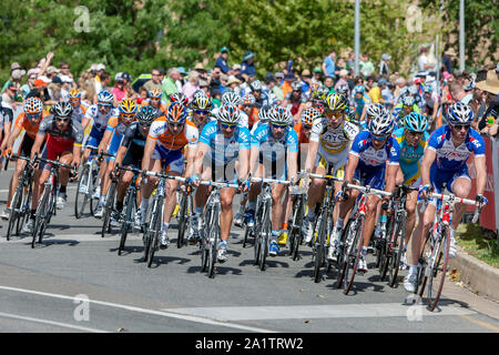 Les cyclistes en descendant la rue Rundle pendant le Down Under Classic, la première course du Tour Down Under à Adélaïde en Australie. Banque D'Images