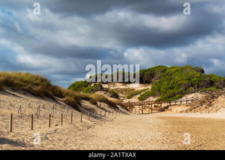 Réserve de régénération des dunes de sable sur la plage de Cala Millor Majorque Espagne, le ciel est nuageux Banque D'Images