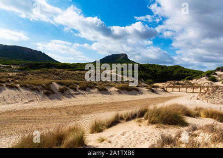 Réserve de régénération des dunes de sable sur la plage de Cala Millor Majorque Espagne, le ciel est nuageux Banque D'Images