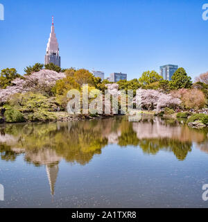 4 avril 2019 : Tokyo, Japon - Fleur de cerisier et le Shinjuku bâtiments reflète dans le lac du Jardin National de Shinjuku Gyoen, Tokyo. Banque D'Images