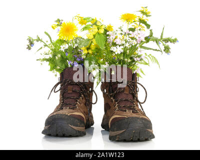 Des chaussures de randonnée avec des fleurs sur fond blanc Banque D'Images