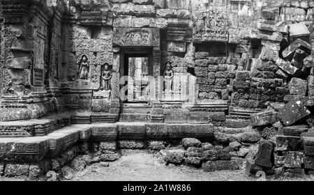 Ta Som temple, Cambodge Banque D'Images