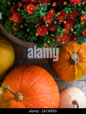 Décorées de grâce porte avant avec différentes tailles et formes des citrouilles et du chrysanthème. Porche décoré pour l'Halloween, Thanksgiving, Collection Automne Banque D'Images