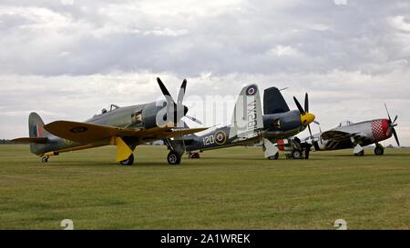 Hawker Sea Fury Mk.II (G-CBEL) Sea Fury T.20 (G-RNHF) et Republic P-47D Thunderbolt (G-THUN) à l'IWM Duxford, Bataille d'Angleterre airshow 2019 Banque D'Images