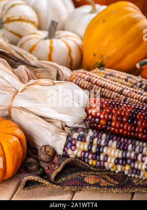 Gros plan du blé d'Inde et de l'automne coloré mini potirons Banque D'Images