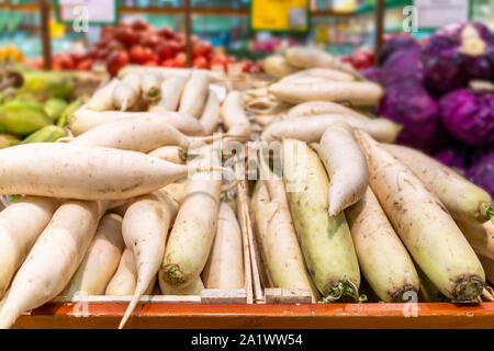 Le radis blanc frais sur le comptoir d'un magasin de légumes. nouvelle récolte des légumes sains et mûrs, avec des vitamines. Marché du Village. Banque D'Images