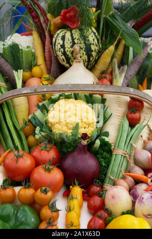 Panier de récolte contenant une sélection de légumes cultivés au Royaume-Uni. Banque D'Images