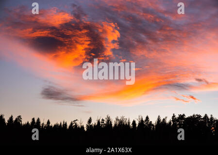 Coucher de soleil sur forêt avec ciel dramatique Banque D'Images