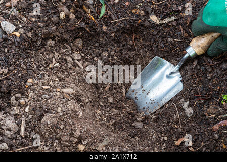 Gardener préparer le sol afin d'insérer une nouvelle plante. Banque D'Images