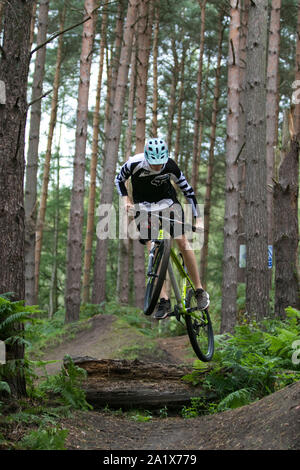 Teenage boy leaping autour sur un vélo de montagne sur Kinver Edge piste en forêt entouré de grands pins. Banque D'Images