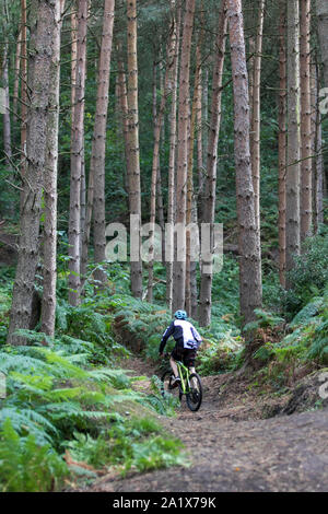 Teenage boy leaping autour sur un vélo de montagne sur Kinver Edge piste en forêt entouré de grands pins. Banque D'Images