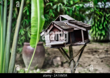 Maison en bois dans la jungle d'oiseaux nid Banque D'Images