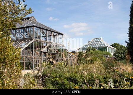 La serre dans le Jardin botanique de l'Université de Cambridge, Cambridge, Angleterre, Royaume-Uni Banque D'Images