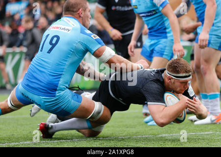 Newcastle, Royaume-Uni. 15 Sep, 2019. NEWCASTLE Upon Tyne, Angleterre 29 SEPTEMBRE Caqllum Chick de Newcastle Falcons marque le dernier essai au cours de la RFU Championship Cup match entre Newcastle Falcons et Doncaster Knights à Kingston Park, Newcastle Le dimanche 29 septembre 2019. (Crédit : Chris Lishman | MI News) Credit : MI News & Sport /Alamy Live News Banque D'Images