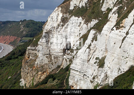Grotte de la falaise de craie à Hooen l'est du Devon, Royaume-Uni. Hooen falaises. Banque D'Images