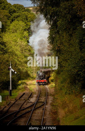 Moteur de fer 6990 Witherslack Hall, tirant en station Goathland, North York Moors Railway. Banque D'Images