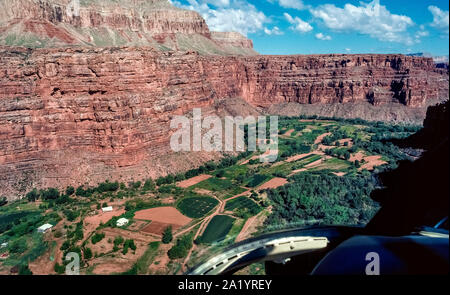 Cette vue aérienne montre à partir d'un hélicoptère, la télécommande Supai village verdoyant de la tribu Havasupai, connu comme le peuple de l'eau bleu-vert, qui vivent à 13 kilomètres du bord du Grand Canyon, dans le nord-ouest de l'Arizona, USA. L'eau d'un aquifère calcaire sur l'Indian Reservation irrigue champs verdoyants de maïs, haricots, courges et vergers de pêchers. Comme l'agriculture a permis aux membres de la tribu de vivre profondément dans le canyon pendant plusieurs siècles. Une attraction importante il y a belle Havasu Falls, une destination de plus de 20 000 randonneurs d'aventure chaque année. Banque D'Images