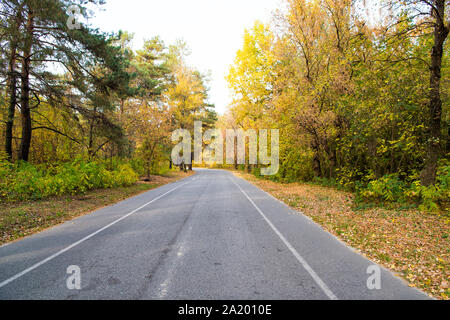 L'automne est tout autour de nous. Route à travers la forêt d'automne. Desolate road sur paysage naturel. Route asphaltée. Route dans la campagne. Voyager et voyager. Voyage de saison de l'automne. Vacances d'automne. Banque D'Images