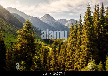 Paysage de la vallée de montagne avec sapins et pic enneigé à Karakol national park, le Kirghizistan Banque D'Images