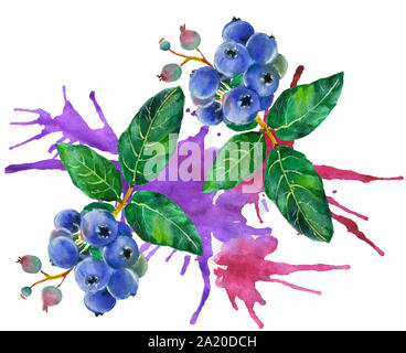 Les baies et les feuilles aquarelle modèle homogène, les baies sont dessinées à la main à l'aquarelle. Illustration botanique de haute qualité. Banque D'Images