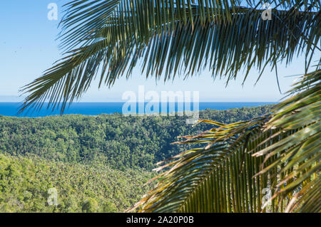 La jungle sur la côte de Cuba, vu à travers une feuille de palmier. Vue panoramique sur la mer. Banque D'Images
