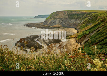 Yorkshire mer du littoral avec des falaises et des rochers Banque D'Images