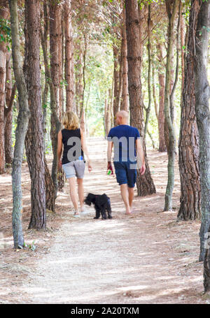 Deux personnes et leur chien promenade dans les bois Banque D'Images